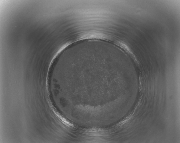 X0000060790780200511141442