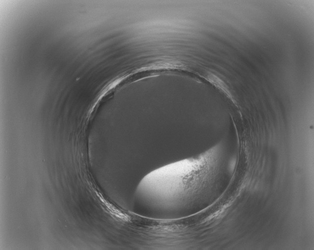 X0000060790781200511141442