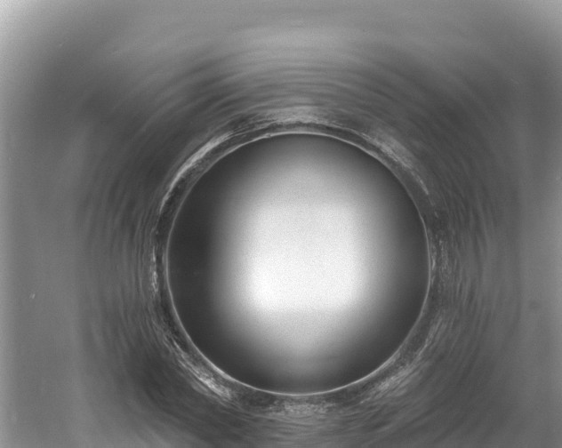 X0000060790782200511141442