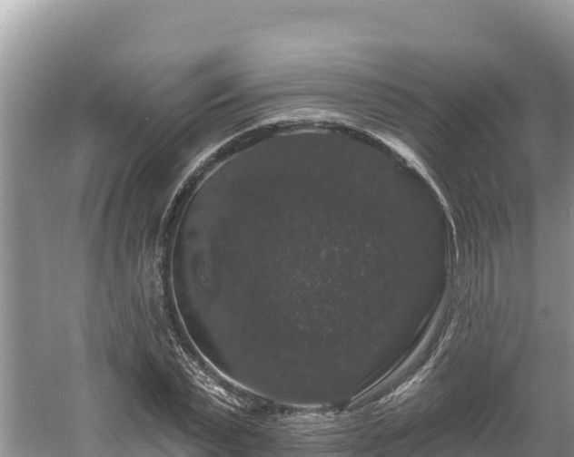 X0000060790783200511141442