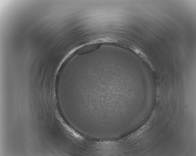 X0000060790784200511141442