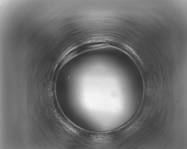 X0000060790786200511141442