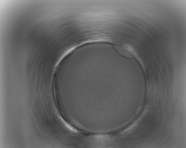 X0000060790789200511141442