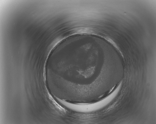 X0000060790791200511141442