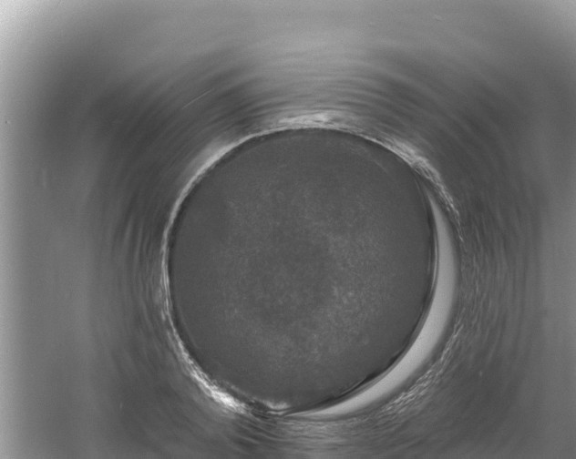 X0000060790792200511141442