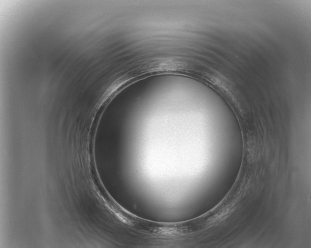 X0000060790794200511141442