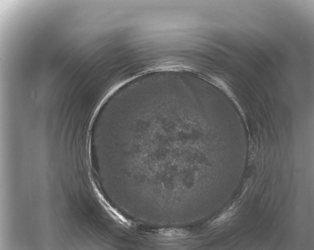 X0000060790795200511141442