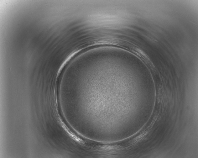 X0000060790796200511141442