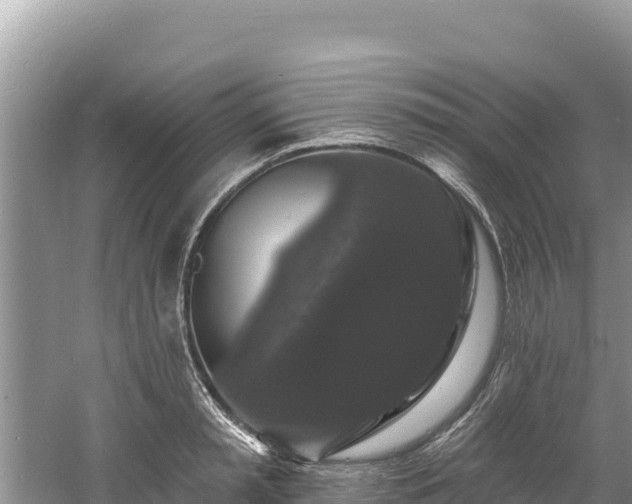 X0000060790797200511141442