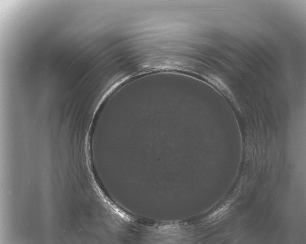 X0000060790798200511141442