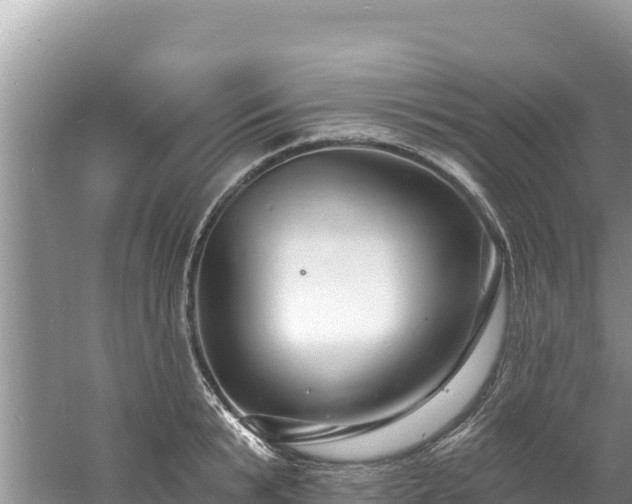 X0000060790799200511141442