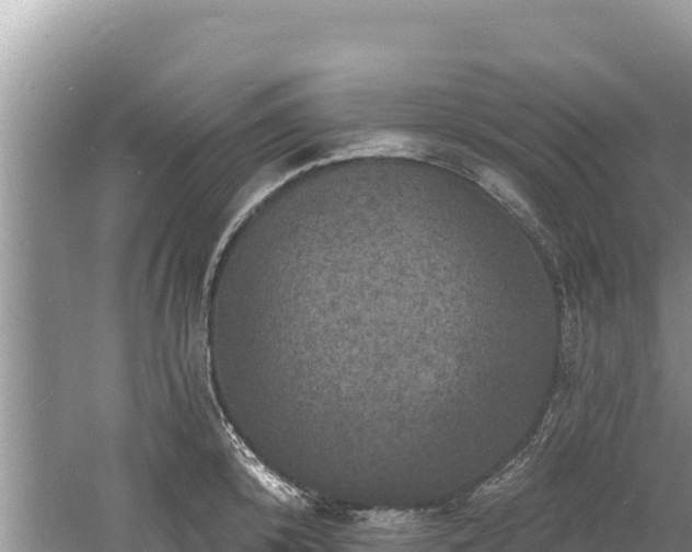 X0000060790800200511141442