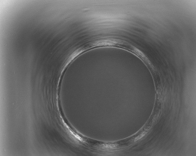 X0000060790802200511141442