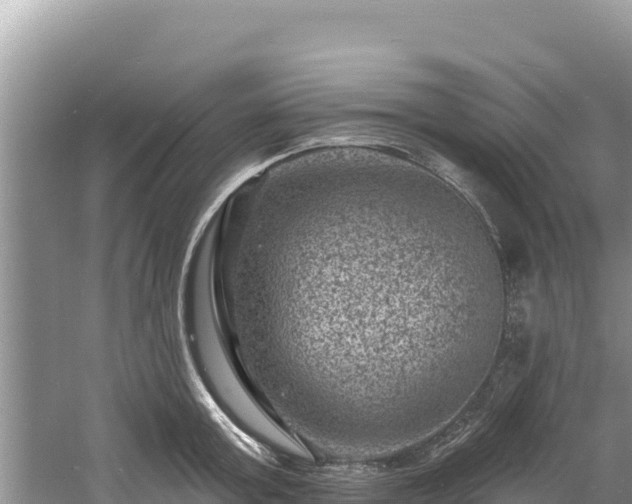 X0000060790803200511141442