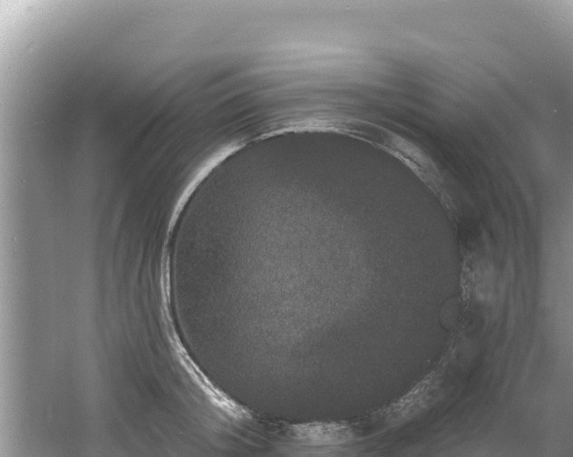 X0000060790804200511141442