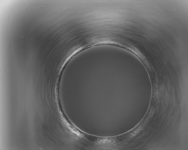 X0000060790806200511141442