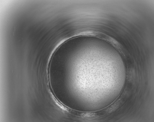 X0000060790808200511141442