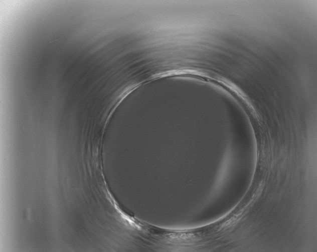 X0000060790809200511141442