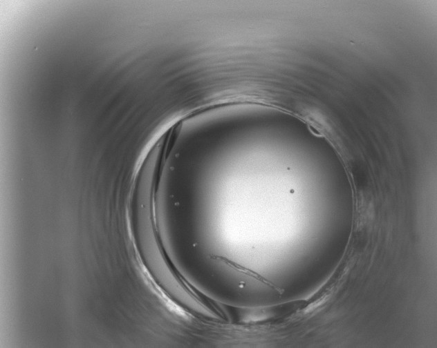 X0000060790812200511141442