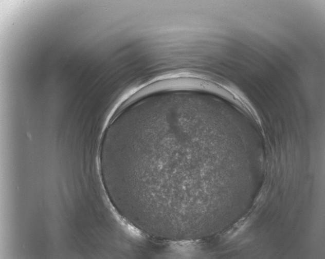 X0000060790813200511141442