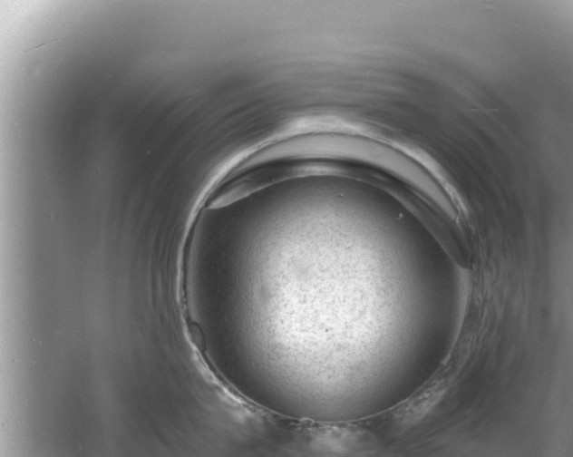 X0000060790815200511141442