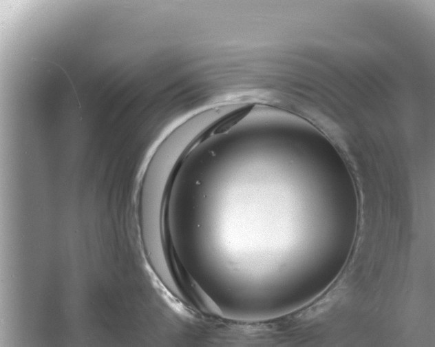 X0000060790816200511141442