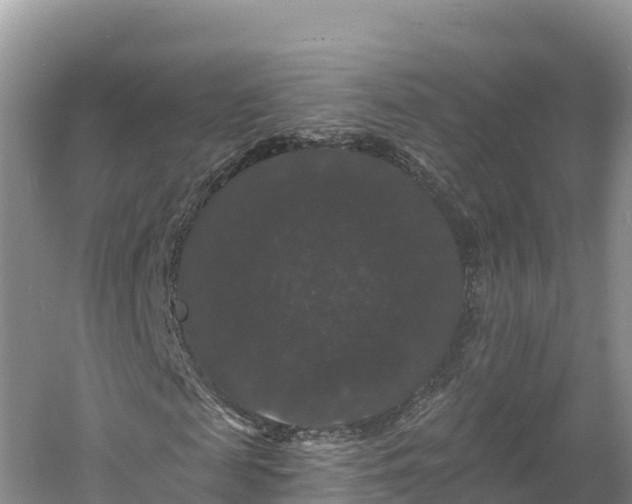 X0000060790817200511141441