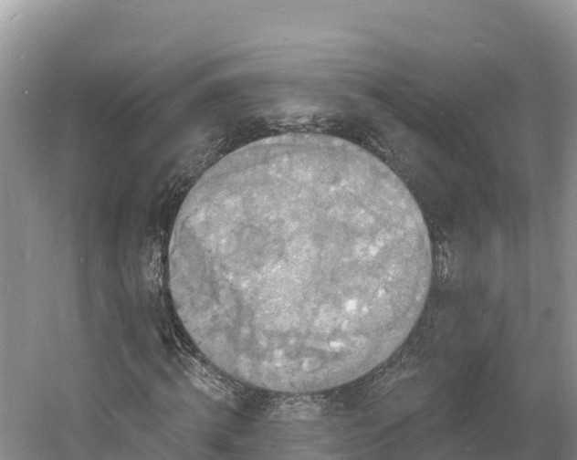 X0000060790820200511141441