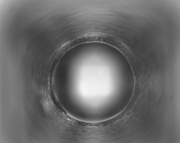 X0000060790821200511141441