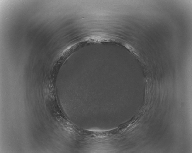 X0000060790822200511141441