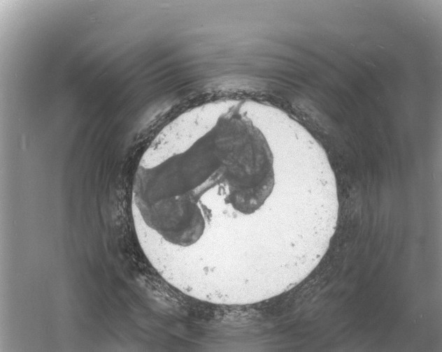 X0000060790824200511141441