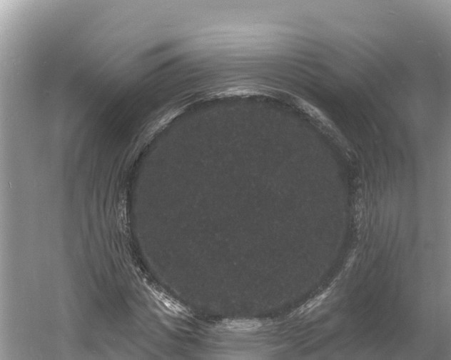 X0000060790825200511141441