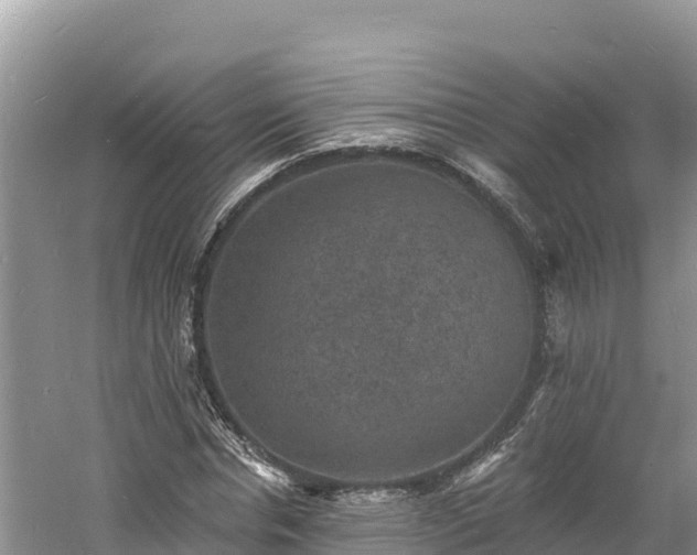 X0000060790826200511141441