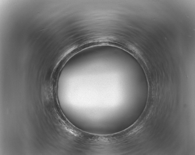 X0000060790827200511141441