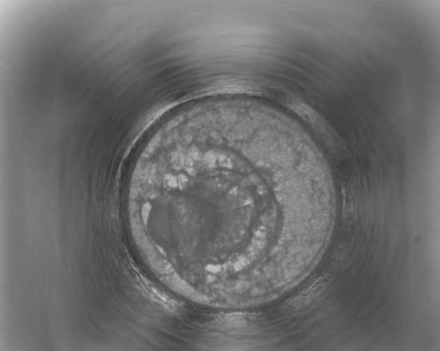 X0000060790828200511141441