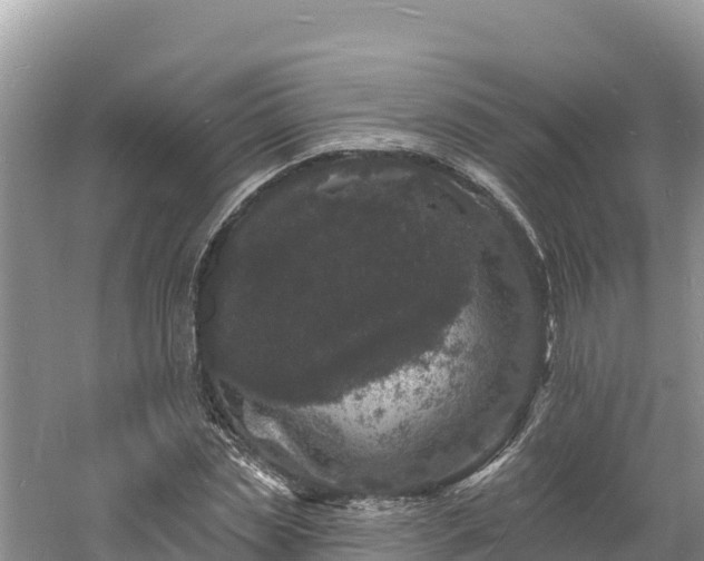 X0000060790829200511141441