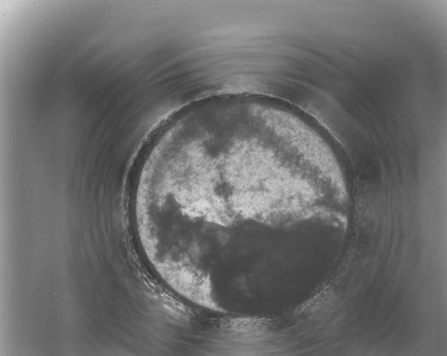 X0000060790832200511141441