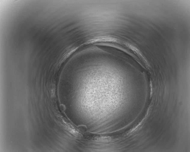 X0000060790833200511141441