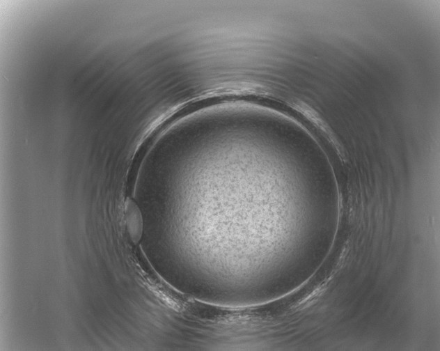 X0000060790834200511141441