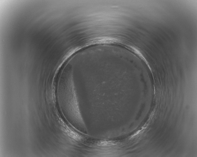 X0000060790835200511141441