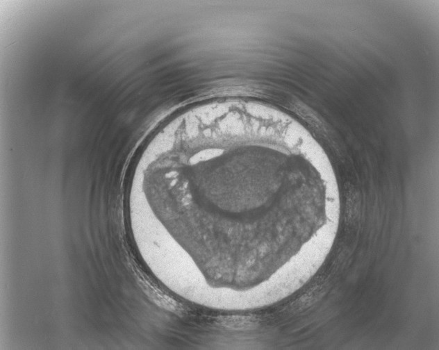 X0000060790836200511141441