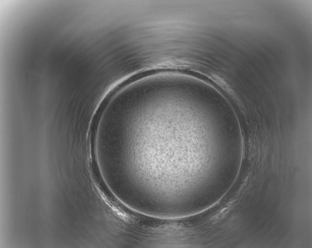 X0000060790838200511141441