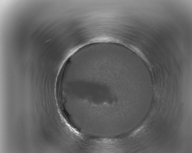 X0000060790839200511141441