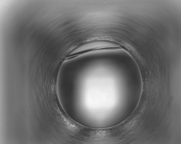 X0000060790841200511141441