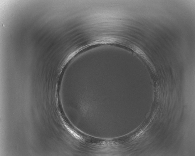 X0000060790842200511141441