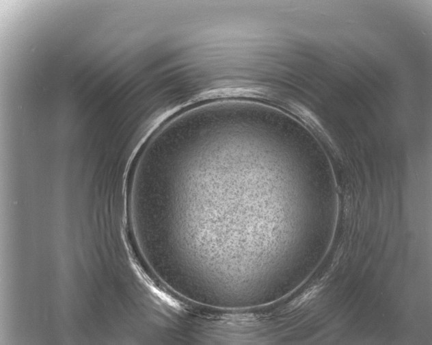 X0000060790844200511141442