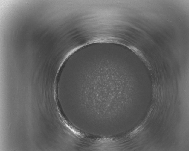 X0000060790846200511141442