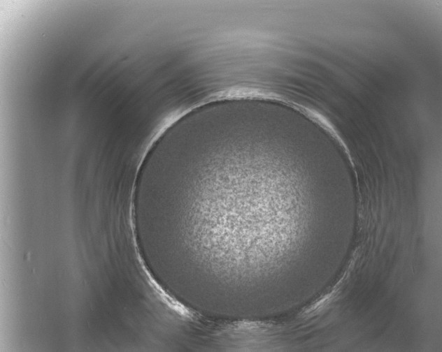 X0000060790847200511141442