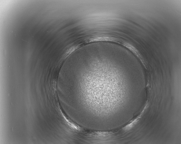 X0000060790849200511141442