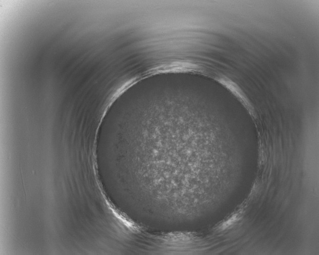 X0000060790850200511141442